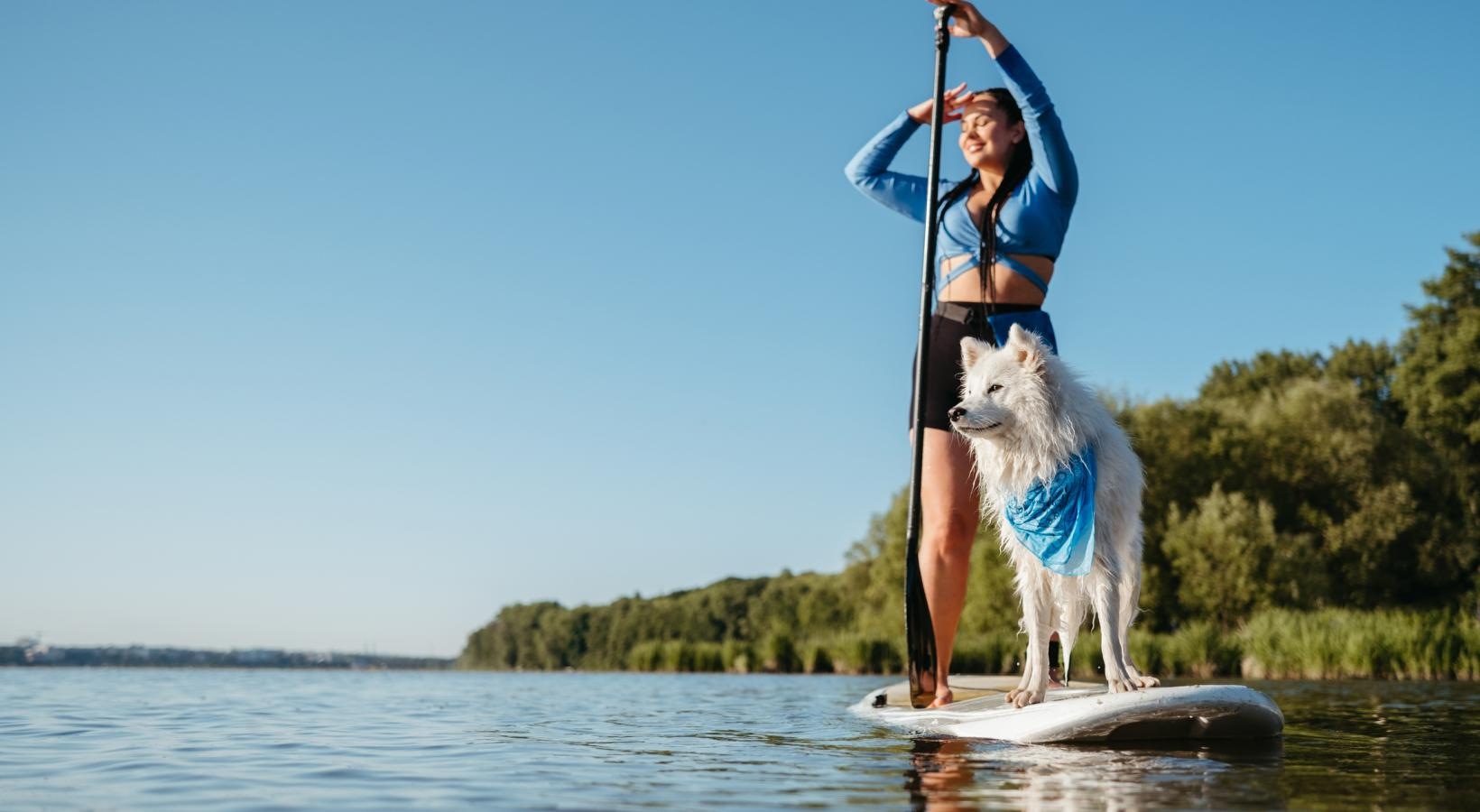 We welcome your pet family a person on a surfboard with a dog on a paddle board