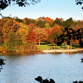 Find your perfect fit at Lake Forest a body of water with trees around it
