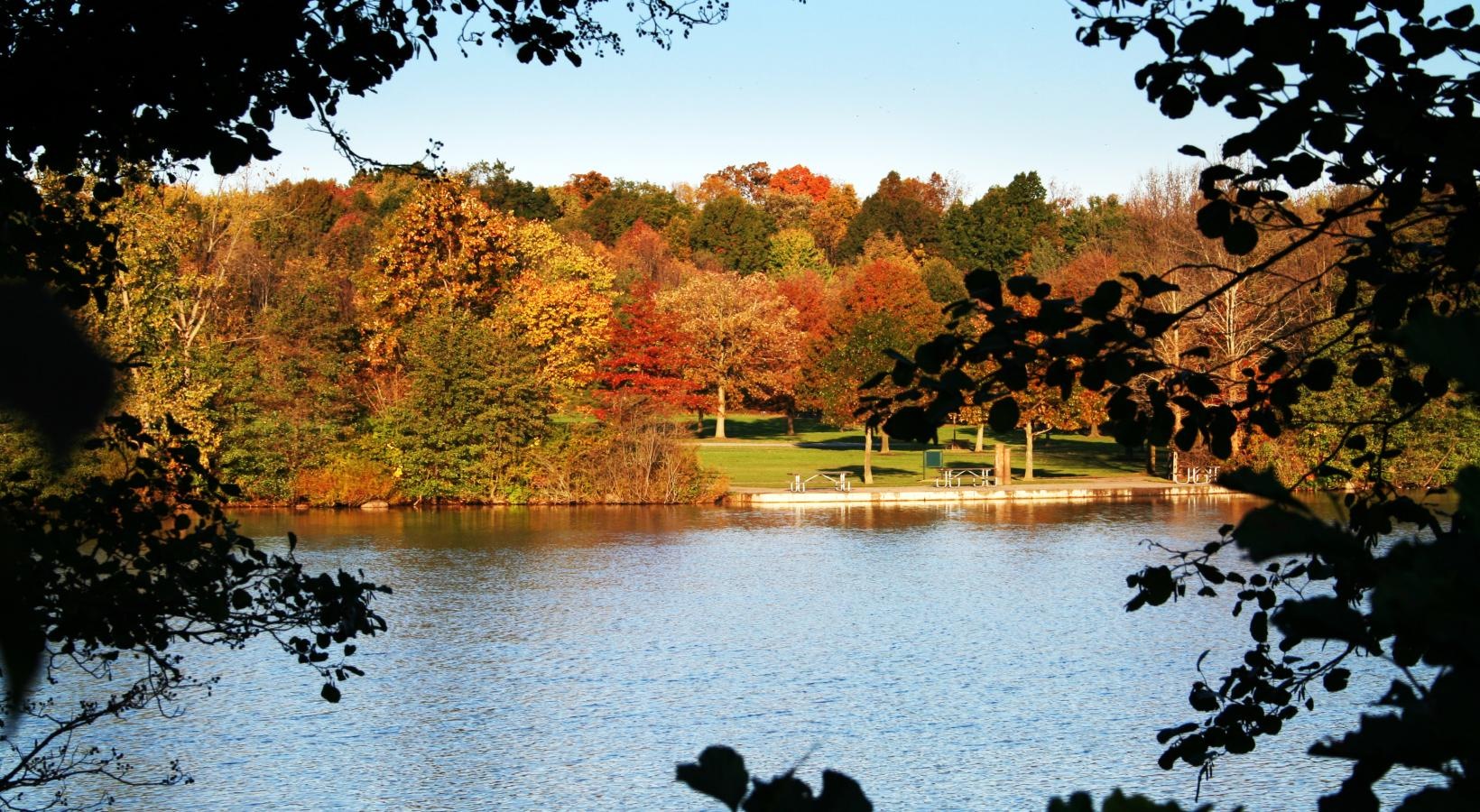 Find your perfect fit at Lake Forest a body of water with trees around it