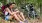 a man and woman sitting on a rock with bicycles in the background