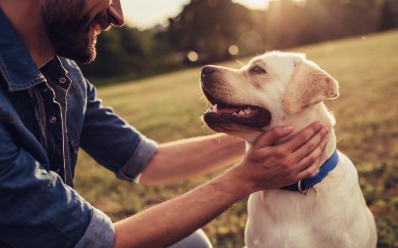 a man holding a dog