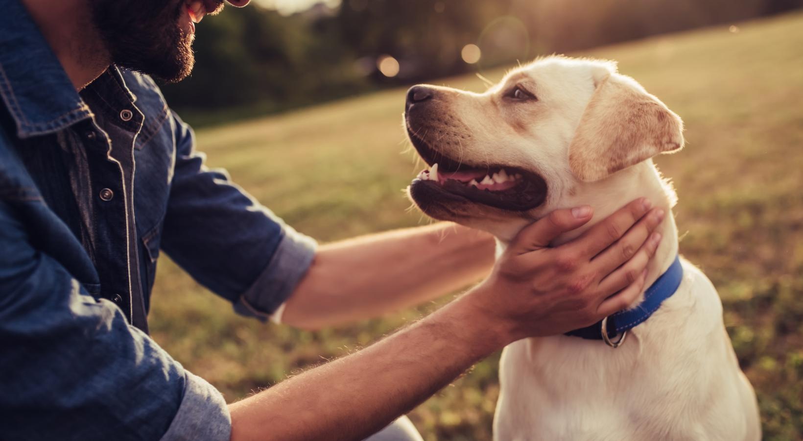 We welcome all your furry friends a man holding a dog